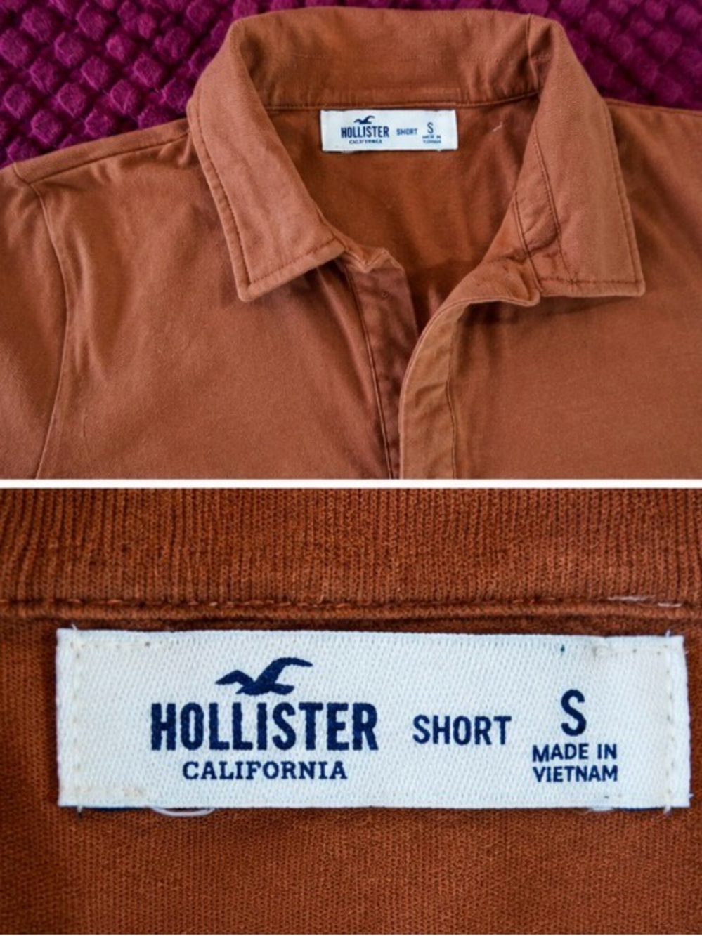 Hollister Men's Burnt Orange Polo